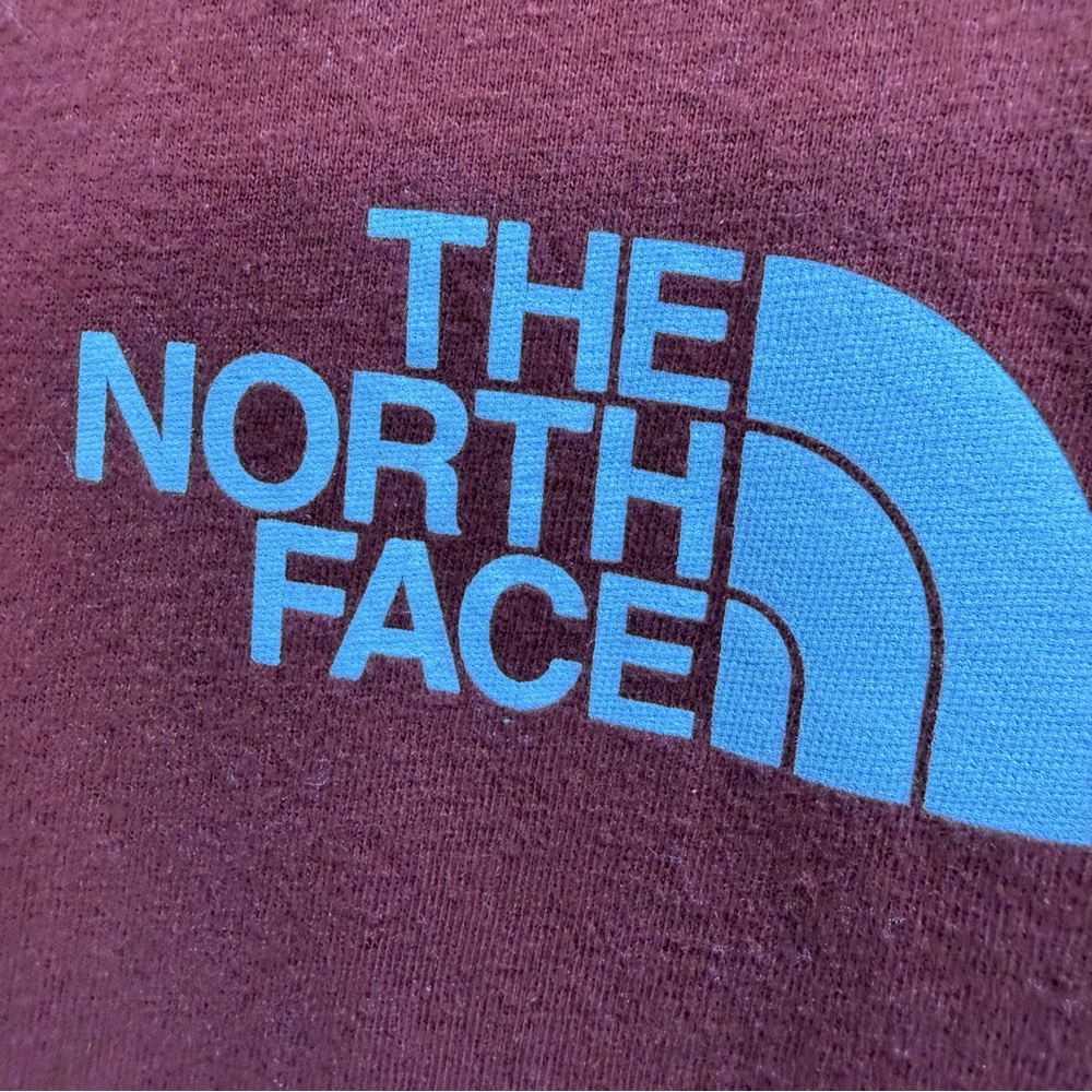 The North Face Men's Brick Red Logo T-Shirt - Picture 5 of 7